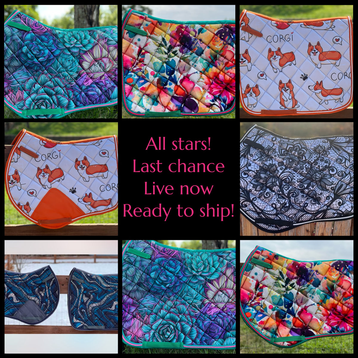 All-Stars Collection - In stock ready to ship